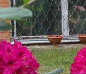 Продать Дачи, коттеджи, загородные дома пос. Парголово, Сертоловская улица, 39   