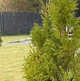 Продажа дома Новосельцево кп, пос. Сельцо, д. 350 Продажа дома Новосельцево кп, пос. Сельцо, д. 350