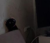 Продать Квартиры вторичка Новочеркасский бульвар, 29   