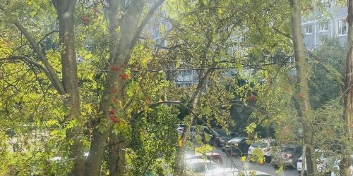 2-комн квартира проспект Луначарского, 19К1