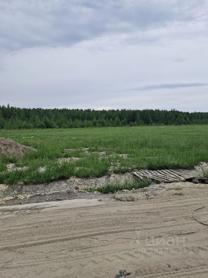 Продажа земли Павловск, Березовая улица