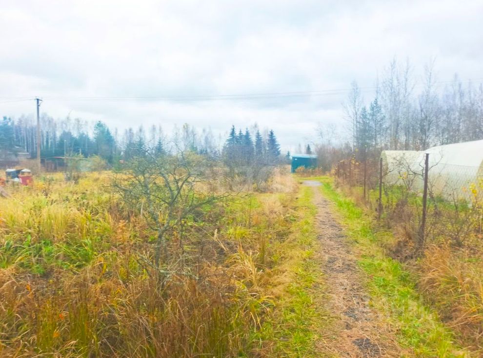 Продажа земли Посадников остров садоводческий массив, Реставратор СНТ, 24-я линия, 167