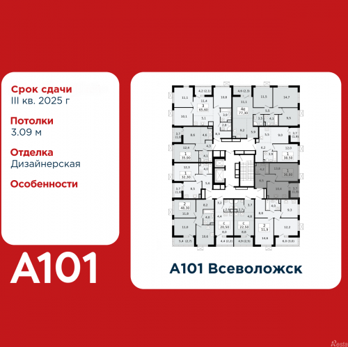 1-комн квартира Всеволожск, микрорайон Южный, 3.1