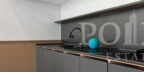 1-комн квартира Малый Трехсвятительский переулок, 8/2С8