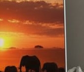 Сдать в аренду Квартиры вторичка улица Большая Якиманка, 50   