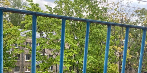 2-комн квартира Кузьмоловский пос., Молодёжная ул. ,  д. 8