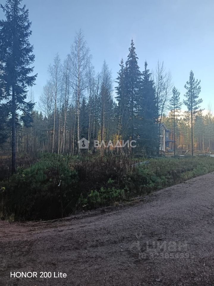 Продажа земли Рощино пгт, проезд Мельничный