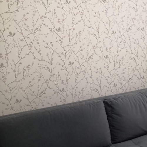 2-комн квартира Кондратьевский проспект, 62к6