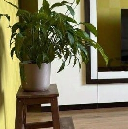 Продажа 3-комн квартиры на вторичном рынке пос. Шушары, Славянка тер., шоссе Колпинское, 34к1 Продажа 3-комн квартиры на вторичном рынке пос. Шушары, Славянка тер., шоссе Колпинское, 34к1