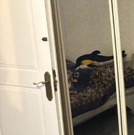 Продажа 1-комн квартиры на вторичном рынке улица Кухмистерова, 20