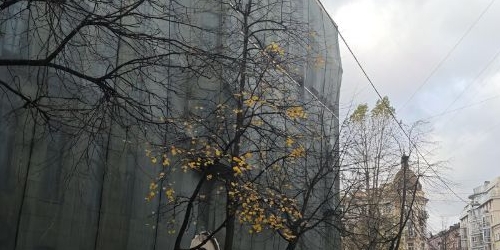 Комната Зверинская улица, 36