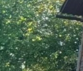 Продать Дачи, коттеджи, загородные дома Ухта садоводческий массив, Леноблстрой СТ, улица Веселая   