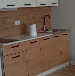 Аренда студии Новоселье городской поселок, улица Петропавловская, 13