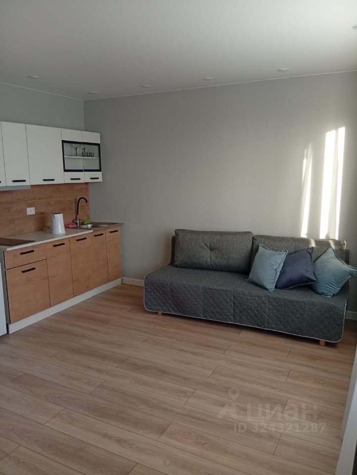 Аренда студии Новоселье городской поселок, улица Петропавловская, 13