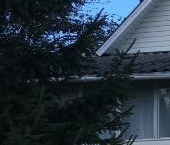 Продать Дачи, коттеджи, загородные дома Петергоф, Красные Зори СНТ   