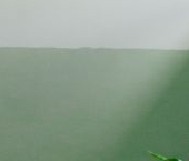 Сдать в аренду Квартиры вторичка Терехово кп, 7   