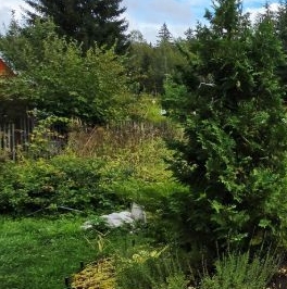 Продажа дома пос. Лейпясуо, Курортное СНТ, 1-я линия