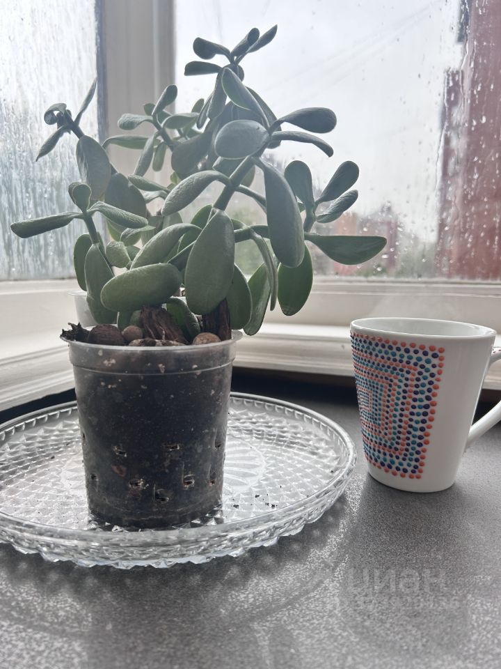 Аренда 2-комн квартиры на вторичном рынке улица Малая Грузинская, 12