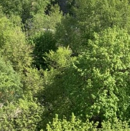 Продажа 3-комн квартиры на вторичном рынке улица Кедрова, 1 Продажа 3-комн квартиры на вторичном рынке улица Кедрова, 1