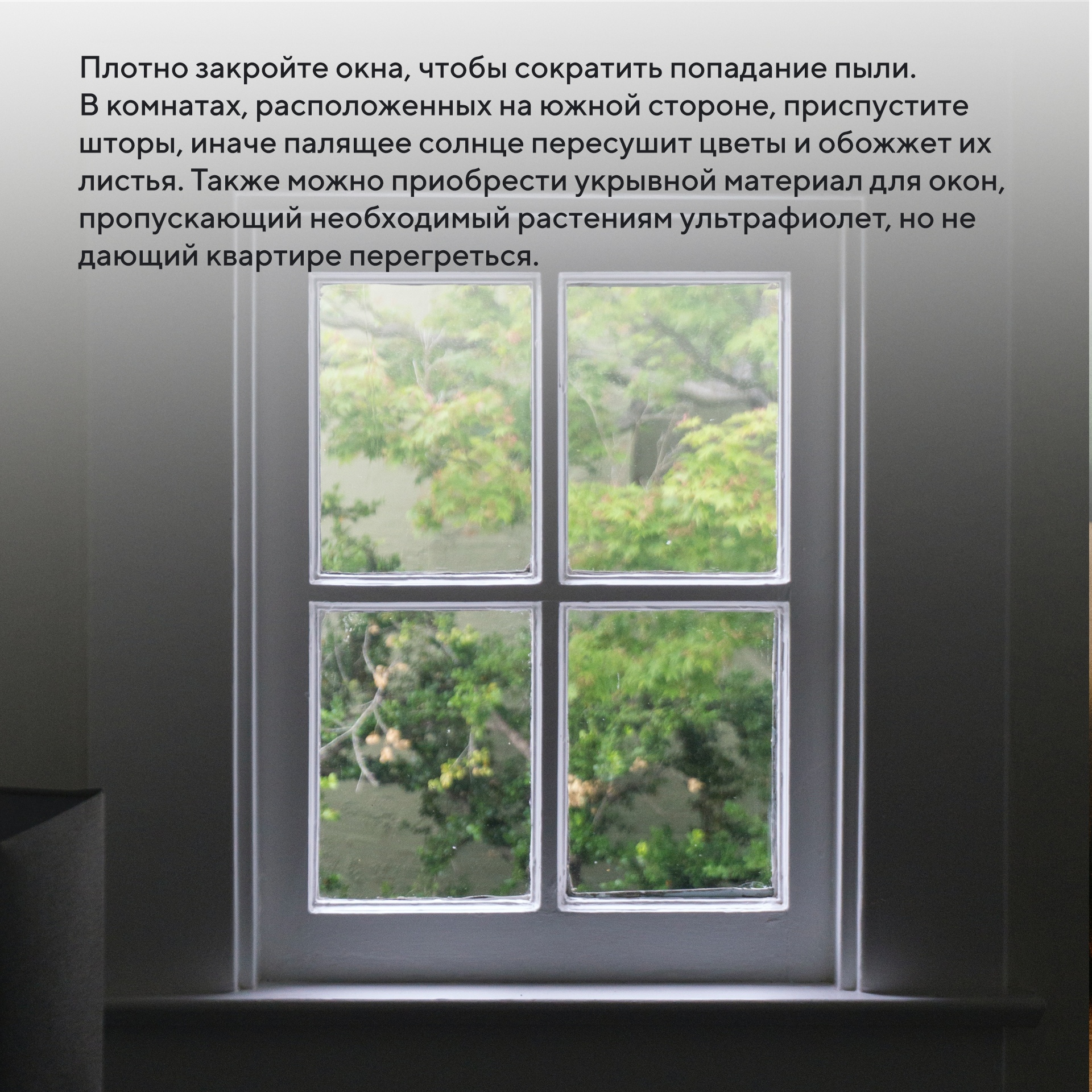Мечта квартиранта сбылась